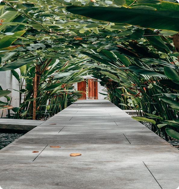 Landscape Design